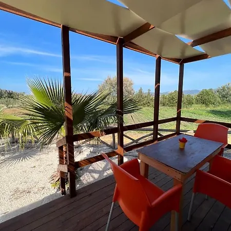 Morus Alba Gargano *