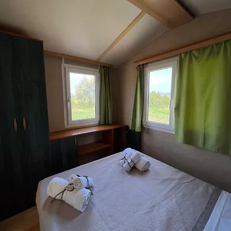 Morus Alba Gargano Lantgård Foce Varano