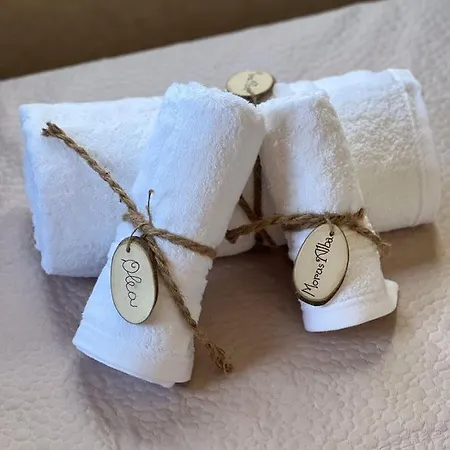 Lantgård Morus Alba Gargano Foce Varano