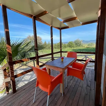 Morus Alba Gargano *