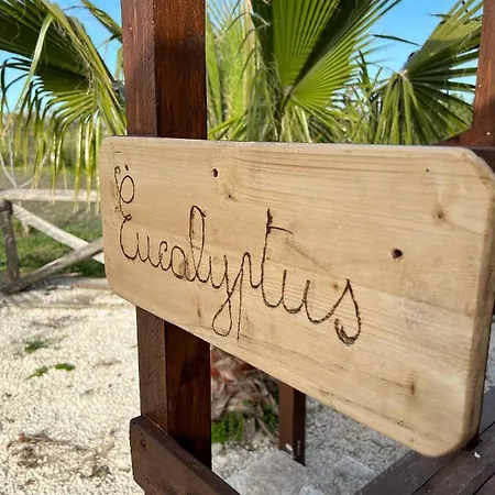 Morus Alba Gargano *