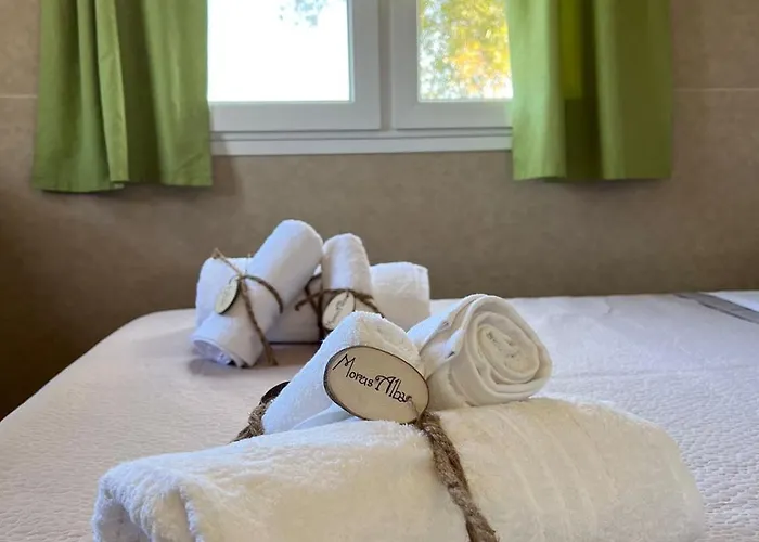 Morus Alba Gargano Alojamento de Turismo Rural Foce Varano