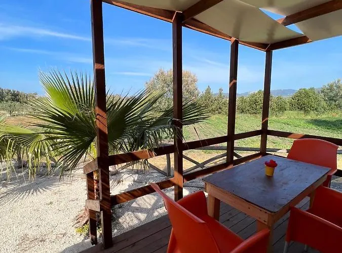 Morus Alba Gargano *