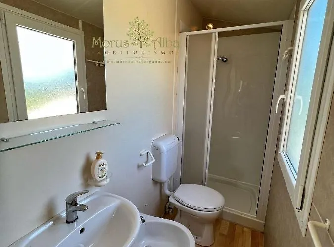 Morus Alba Gargano Foce Varano